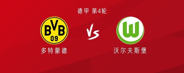 沃尔夫斯堡 沃尔夫斯堡