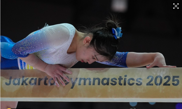 TM, 子个人全能, news TM, 子个人全能, news